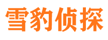 大丰市侦探公司